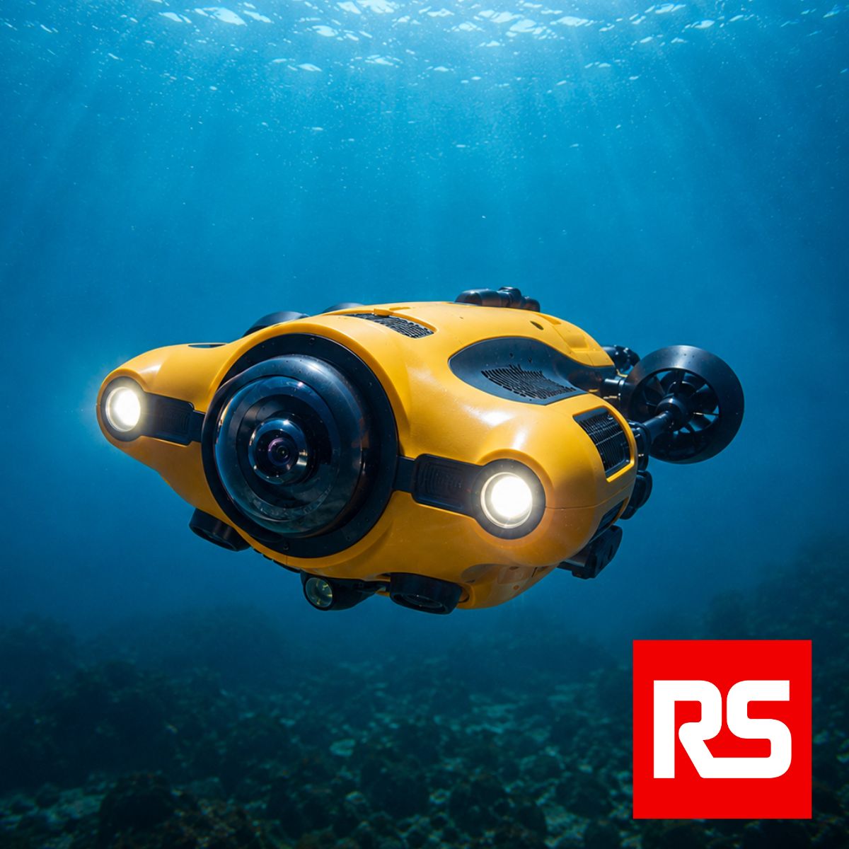 Project Turtle RS Fund Winner — view on LinkedIn